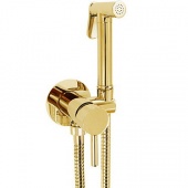 Гигиенический душ со смесителем Giulini Futuro FSH25DOR золото 24 карата
