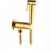 Гигиенический душ с прогрессивным смесителем скрытого монтажа AGATA AL-877-08  золото