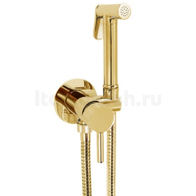 Гигиенический душ со смесителем Giulini Futuro FSH25O золото 24 карата